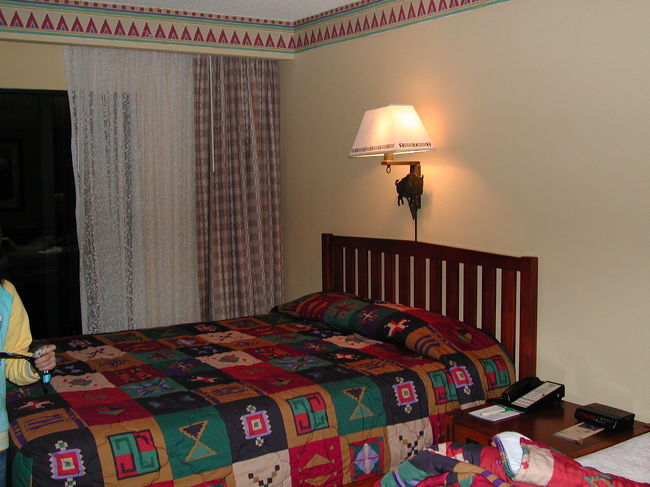 次のホテル　ウィルダネスロッヂへ。<br />部屋の中