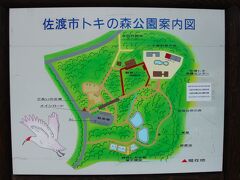 野生復帰ステーションから車で１０分ほどのトキ保護センター＆トキの森公園。