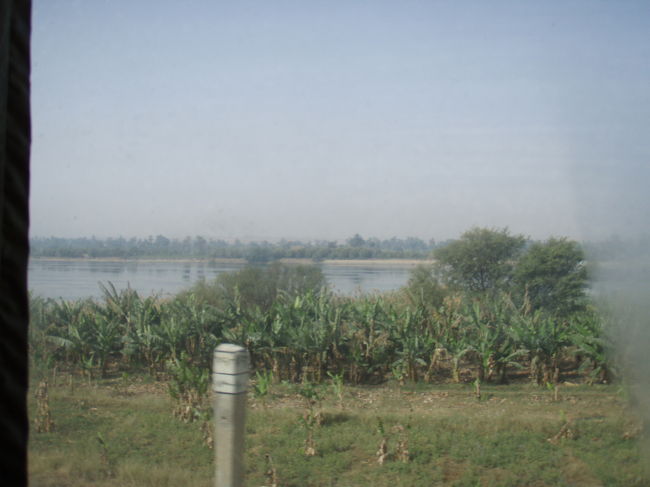 アスワン行き電車の車窓から.2<br /><br />作物！