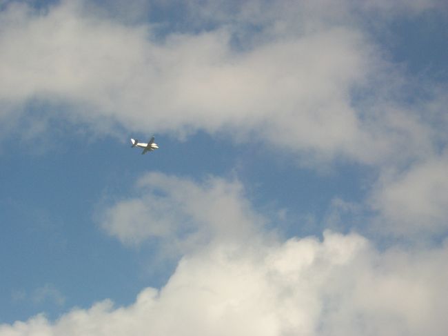 あそこから飛び降りるんだね。<br />ドキドキ