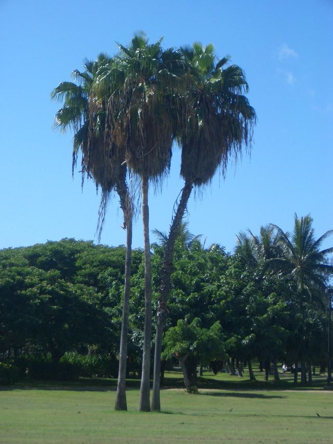 無事に２人が帰ってきた！<br />「全然こわくなかったよ〜　<br />　　おもしろかったねーーー」<br />２人とも興奮気味で写真を<br />見せてくれました。<br /><br />これからダイヤモンドヘッドへ行きます