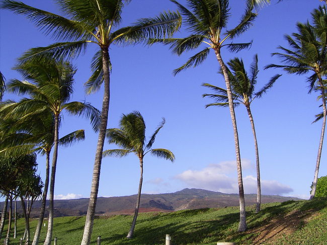 山側はこんな風景