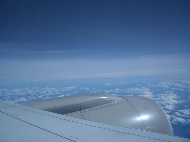 お天気良さそう