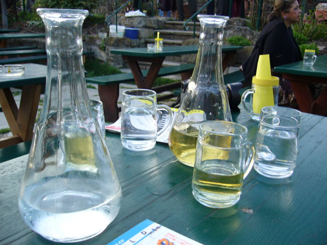 ウィーンの知り合いに勧められた飲み方、白ワインを炭酸水で割ってのみました。これはぐいぐいいけます。日が沈むと肌寒く感じられ建物の中で飲むと、流しのおじ様たちと目が合ってしまい「トヨター、ソニー・・・♪」と熱唱されました。この地方の有名な曲をきいてチップ渡したかった。