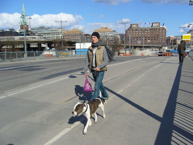 足が長いからか、お兄さん歩くの早い早い。あまりお散歩しているワンちゃんと出会えなかったので思わず。