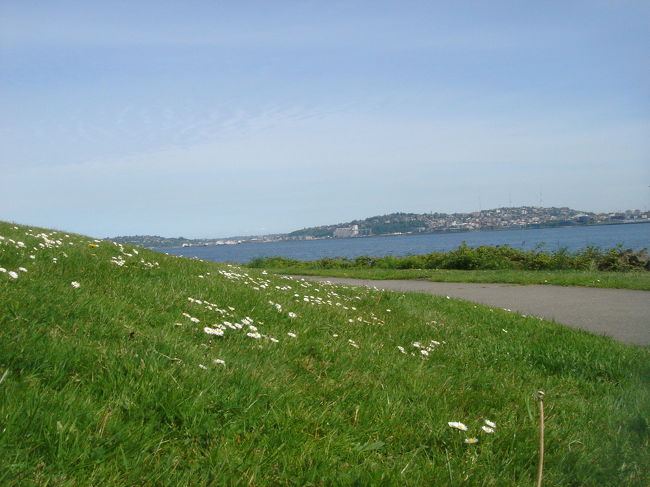 緑の芝生も！<br /><br />何度も言いますが、アルカイは気持ちのいいところでしたー。