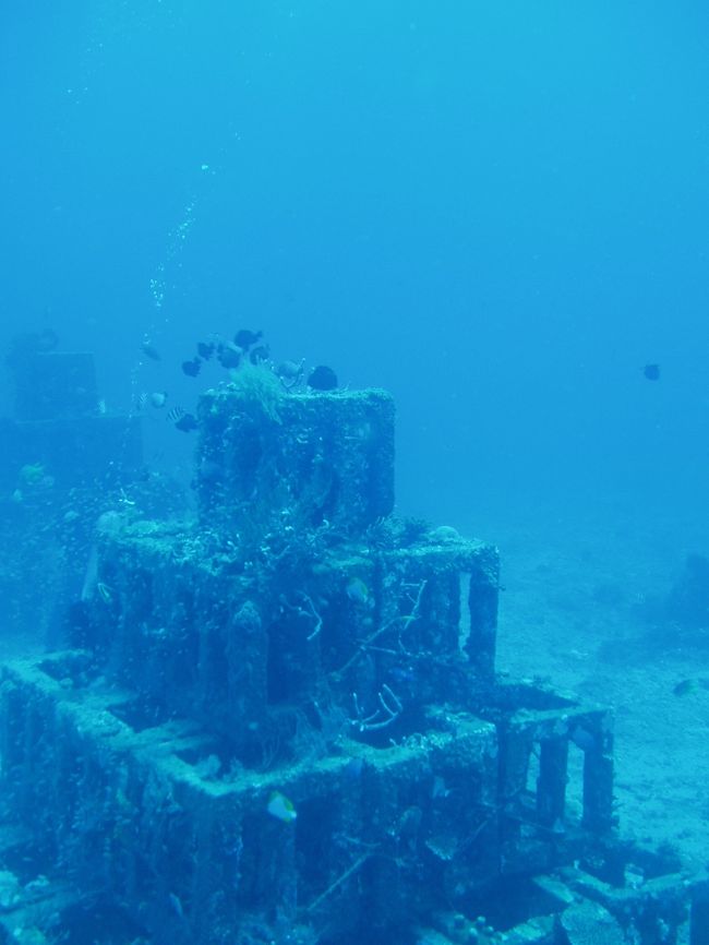 魚礁が（たぶん人工的に）沈めてあったりします。