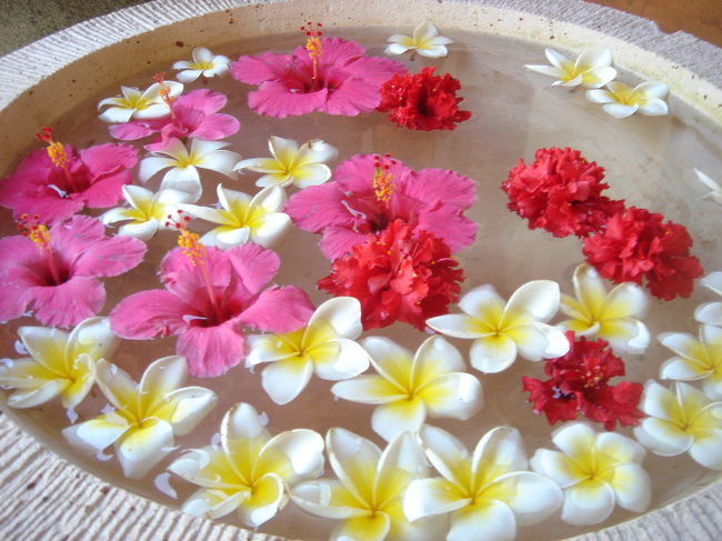 以上、バリ島ダイビングツアーでした。<br /><br />今回は移動も多く、かなりドタバタなスケジュールでしたが、バリ島の海はもっと潜りこみたいですねー。<br />ワイドもマクロも、とても充実していると思います。