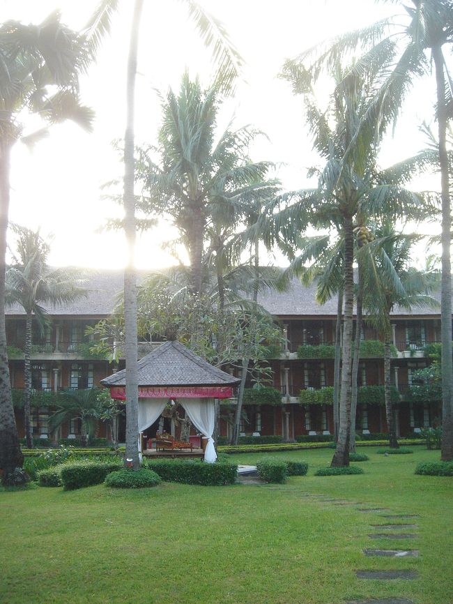 翌朝。<br /><br />ホテルの中庭。<br /><br />晴れてます！