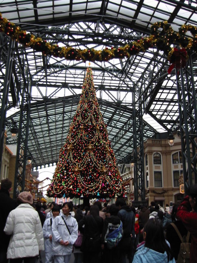 言い出した後輩が寝坊して小雨の降る中、朝の6時からたたき起こしに行きました。飛行機に乗るまで走り続けたせいか到着時刻の10時には疲れてしまいました・・<br />疲れながらも人ごみの中「やっと着いた・・・」と感激のあまり撮りました。