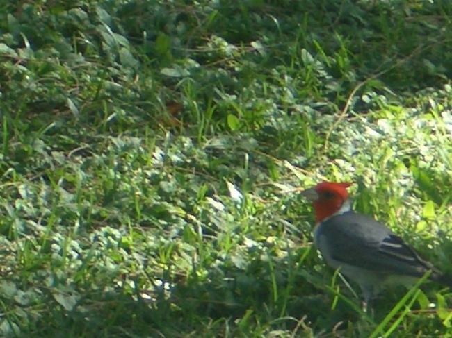 偶然近くでシャッターチャンス！