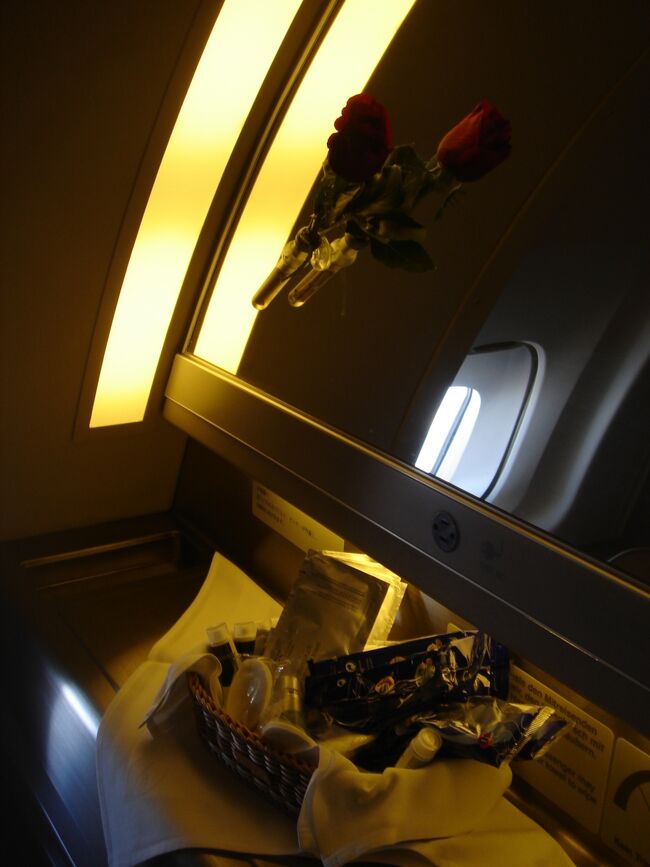 コース料理を時間をかけて食べました。<br />あっしにはかなり量が多すぎです。<br />機内では、小食にして早々に就寝するにかぎりますよね！<br /><br />しかし、これでもかとキャビアを食べたので、<br />お腹の具合がﾁﾄよろしくありませんでした（笑）<br /><br /><br />トイレは窓付きで、ここにも薔薇が飾ってありました。<br />