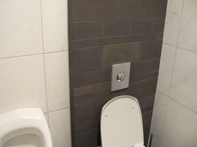 所詮トイレですが、個室タイプはいいですね！<br /><br />バンコクのＴＧの方が、広くて高級感はあります。