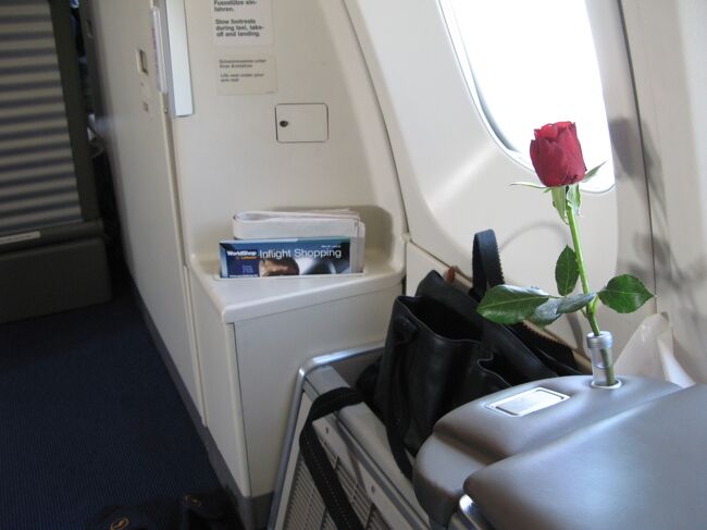 そして・・・何度も食事はどうですか？<br />って、尋ねられました。<br />そう言われると、貧乏性なので食べたくなります（爆）<br />またしても・・・キャビア〜〜〜！<br /><br />ドイツ人ってぇのは良く食べる！？<br />だって、隣席の方はズーと食べ続けてた（笑）<br />しかも寝ずにパソコンをカチャカチャのドイツ人が多いこと！<br />ちょっと気になってしまいました（＞＜）<br />