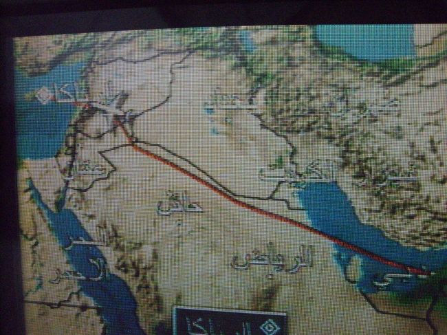 中東ではイラク国境のキッチリと外郭を飛びます。