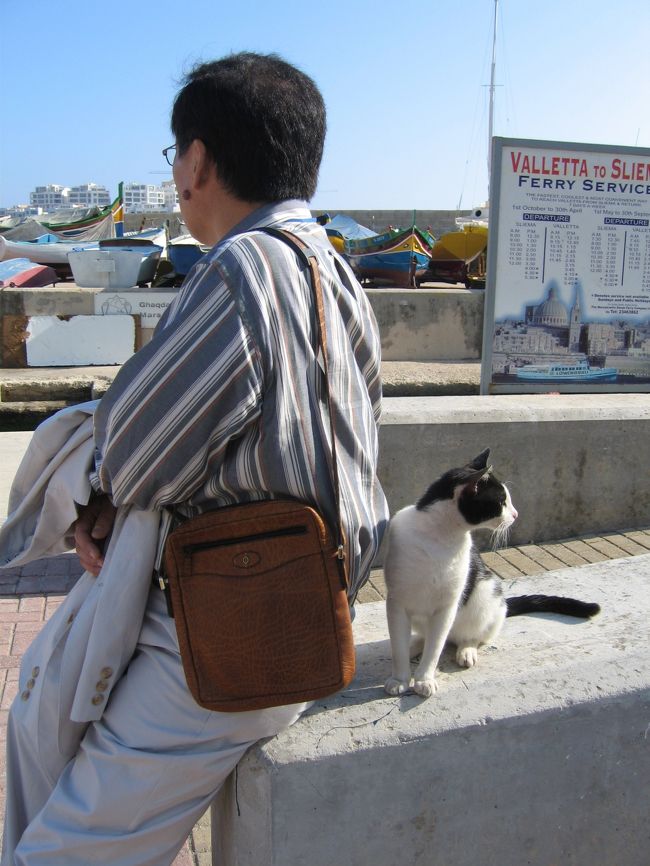 マルタの人と同様、動物たちも随分と人懐っこい。<br />ネコなどは目を合わせると大抵すりよってくる。<br />ヴァレッタのフェリー乗り場にて。<br />