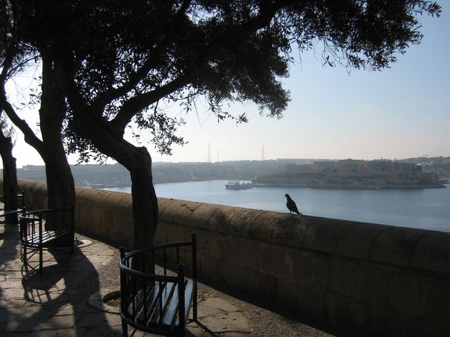 ロウアー・バラッカ・ガーデンの朝。