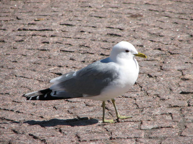 散策途中でひと休み。