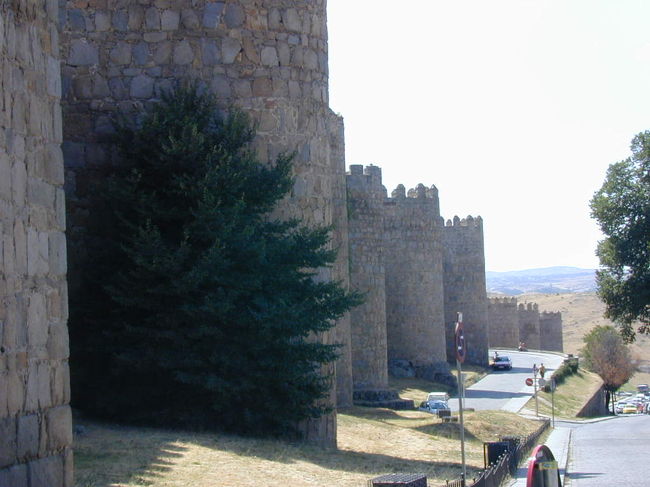 夏の暑い午後の景色で、実にきれいな城壁です。