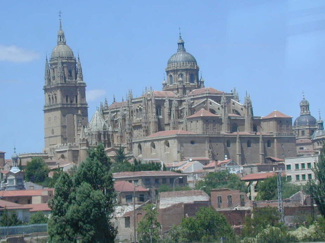 大きな大聖堂です。