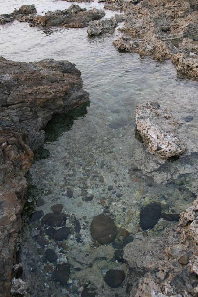 水もこんなにきれい〜