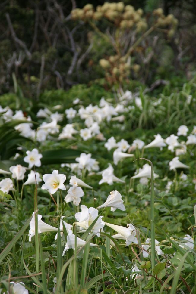 ☆４日目に続きます