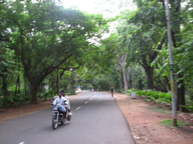 大学の構内。とにかく広い。中に、宿舎、店、銀行、郵便局、その他何でもある。外の町とは別の世界を作っている。しかも、犯罪がほとんど無いというから驚き。