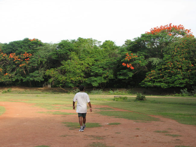 大学のグランド。これも、広い！<br /><br />後ろ姿が移っているのは、今回の訪問のホストです。<br /><br />彼も水泳が好きだというので、毎朝大学のプールで一緒に泳いでいました。プールも、でかい！！！50mの競泳用と、水球用と、飛び込み用がひとつになっていました。深いところでは10m（未確認）ぐらいはあったかも。浅いところでも2mは有りました。水温は、屋外にもかかわらず日本の温水プールなみ。塩素臭もあまり無かったので「やばいな〜〜〜」と思っていましたが、やはり帰国後p-でした。プールの水が原因かどうかは判りませんが。