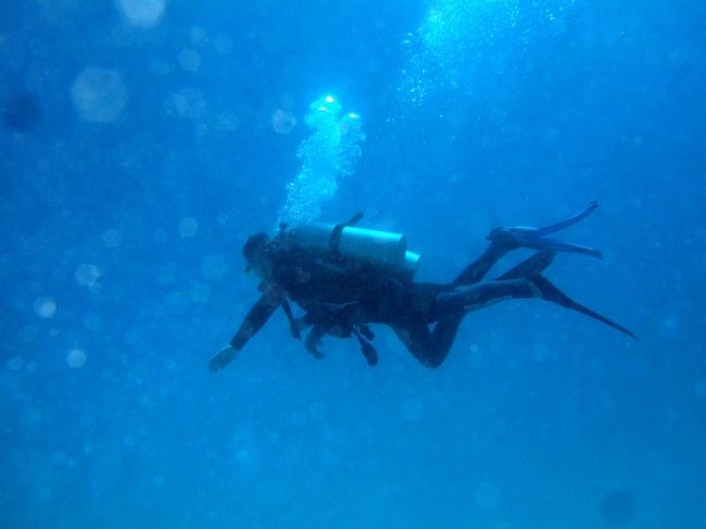 私達の上に大きな魚がっ！！と思ったら他のダイバーでした・・・