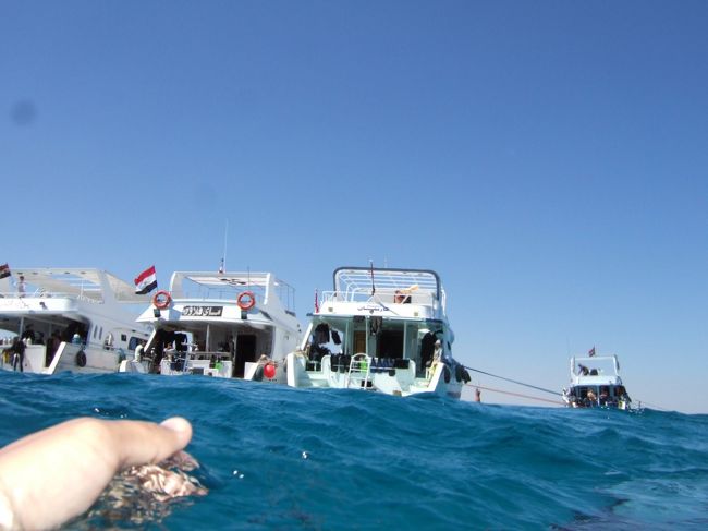 潜ってから約40分。一本目のダイブも終わりに近付き、秋葉さんに連れられ船に戻る。