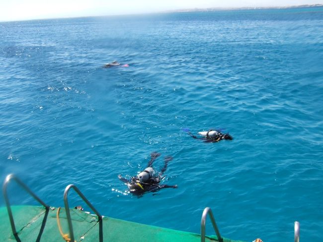 海に出ていた人達が続々と船に戻ってきます。<br />船に上がるとむちゃくちゃ寒い！みんな寒さに震えていました。