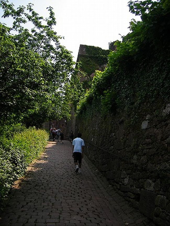 ハイデルベルグ中央駅に10時40分頃到着。<br />旧市街まではバスに乗って行くみたいですが、どのバスだろう？とウロウロしていたら、ちょっと不思議な風貌をしたおじさんが、切符の買い方から、どのバスに乗るかまで教えてくれ、結局一緒にバスに乗って降りる場所まで指示してくれました。<br />5人まで1日乗り放題の切符が8.5ユーロ。<br />33番のバスに乗って、お城に登るケーブルカー乗場まで。<br /><br />おじさんはお城までケーブルカーに乗れと言っていたけど、歩いても上れるよねー、と歩き始めたはいいのですが、結構な坂道。しかも石畳なので、ヒールがある靴だとかなり辛い感じ。<br />10分程、この坂道を上ります。