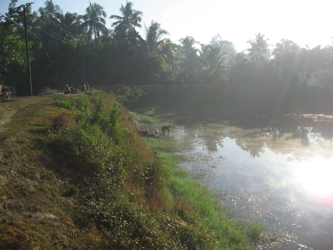 翌朝のGolden Star Guest House前の貯水池。<br /><br />そういえば、ミャウーの (いわゆるガイドブックに載っている) 遺跡に全然行っていないことに、いまさら気付いた。<br /><br />ミャウー自体が遺跡の街というか、遺跡の中の街というか、街の中の遺跡という場所なので、散歩するだけでとにかく楽しくて、すっかり油断していた。<br /><br />今日から遺跡に出かけます。<br /><br />写真も多くなりすぎたので、次の旅行記に続けさせてください。<br /><br />ちゃんとした旅行記になるはずです。