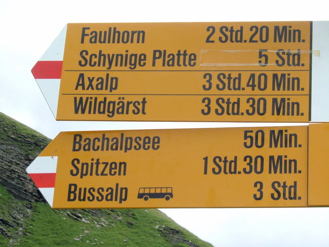 フィルスト（2167m）<br />グリンデルワルトからゴンドラリフトで行くこともできます。<br />バッハアッルプゼーに向かいます。<br />往復２時間位のハイキングコースです。