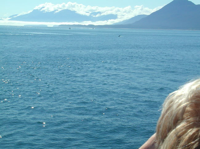 くじらウォッチングで、向こうに鯨の尾が見える。<br />このツアーにはここぞとばかりに一眼レフのどでかいカメラをセッティングしている人が多かった。そこに見えていても写真ではかなりと遠くに映りこんでしまう。<br />一眼レフデジカメが欲しくなった瞬間でした。