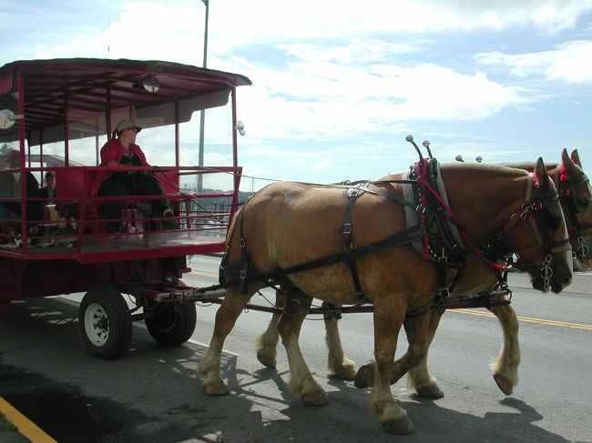 名物の観光馬車