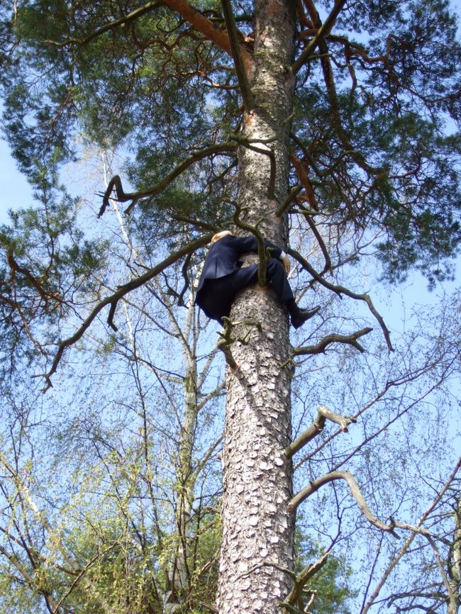 スウェーデンの方のブラックジョーク？<br /><br />人（をかたどった人形）が木に登っています。<br /><br />