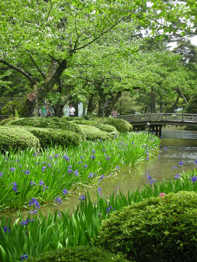 奥に見えるのが、花見橋です。<br />その名のとおり、カキツバタがたくさん咲いていて、すごくきれいでした。