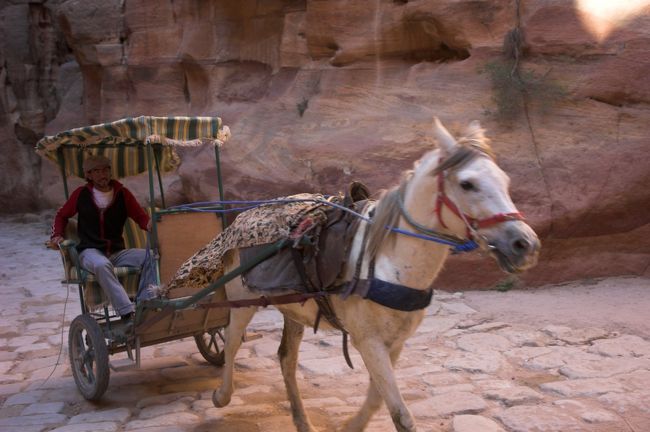 シークの中には馬車が走っていて、疲れたら乗ることも出来ます。<br />狭いシークをすごいスピードで駆け抜けて行っていました。