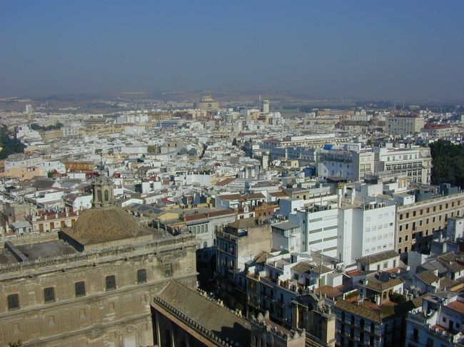 カテドラルの高い塔に登ってみたら、セビリアの美しい街並みがこのように眺めることが出来ました。