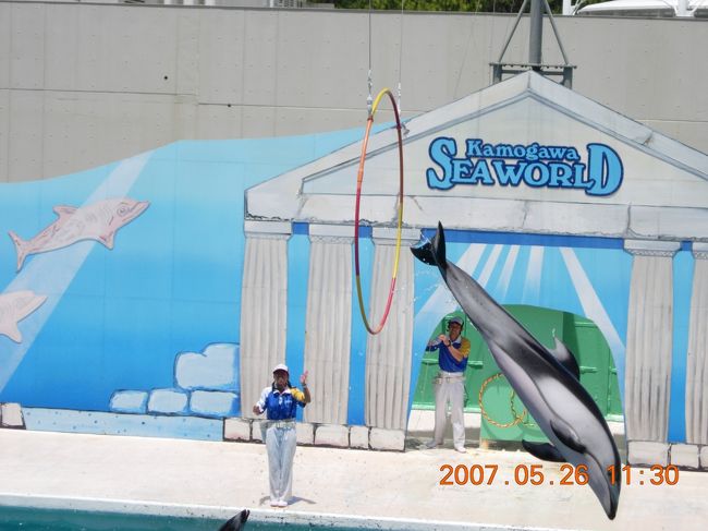 輪を上手にくぐりぬけてました