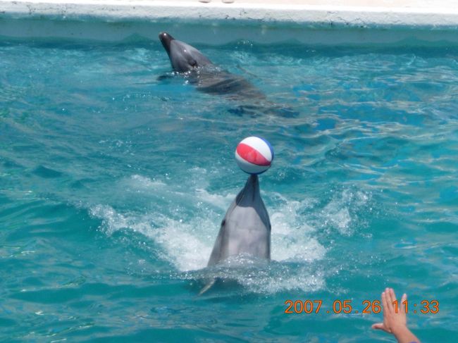 運んでます、運んでます