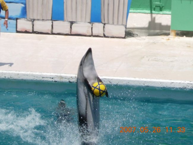 この姿がイチオシです★