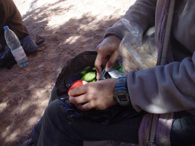 私達は昨日買ったパンを食べましたが、朝一緒になった子達はホテルのランチパックを持ってきていていました。中身はパンとトマトときゅうり、ジュースとヨーグルトで、トマトときゅうりは自分で切ってパンに挟むらしい。ヨーグルトは一口貰いましたがはっきり言ってまずかった・・・