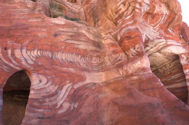 ペトラにある岩の模様は本当に不思議。<br />砂岩だから堆積して出来るんだろうけど、何でこんなマーブル模様になるんだろ？？