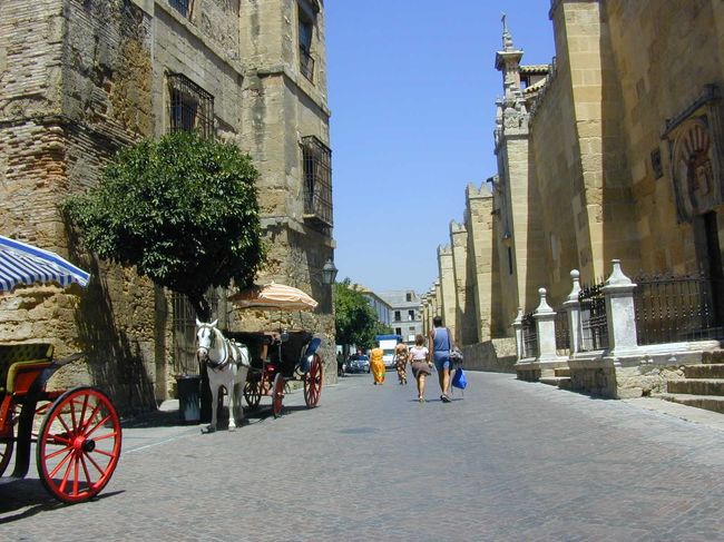 明るい太陽の光にまばゆいばかりの町並みです。