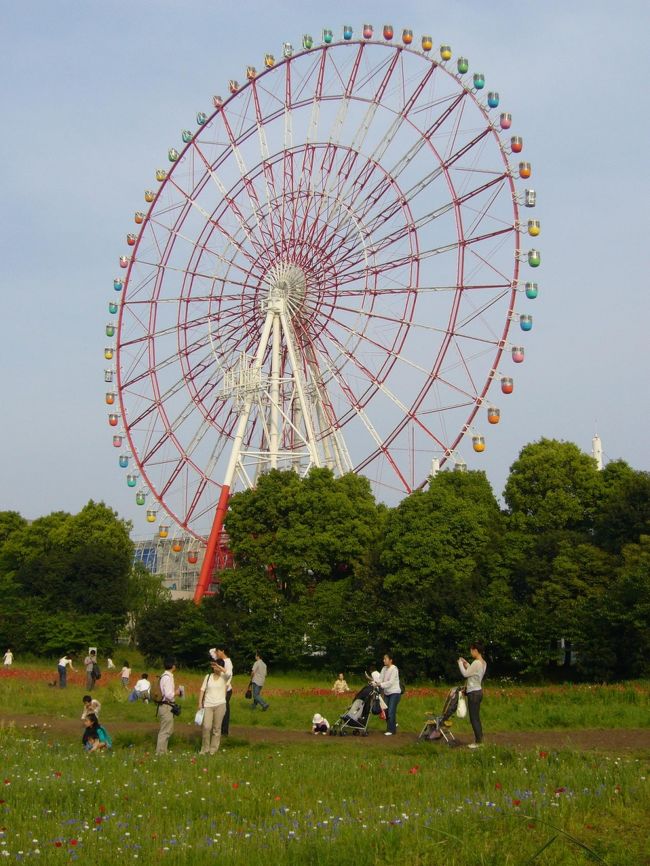 日本帰国中のおまけ?：お台場の観覧車。<br /><br />春ですね〜。<br />お花が咲き乱れ、ぽかぽか陽気。<br />なんだか気持ちよくて、眠くなっちゃいました。