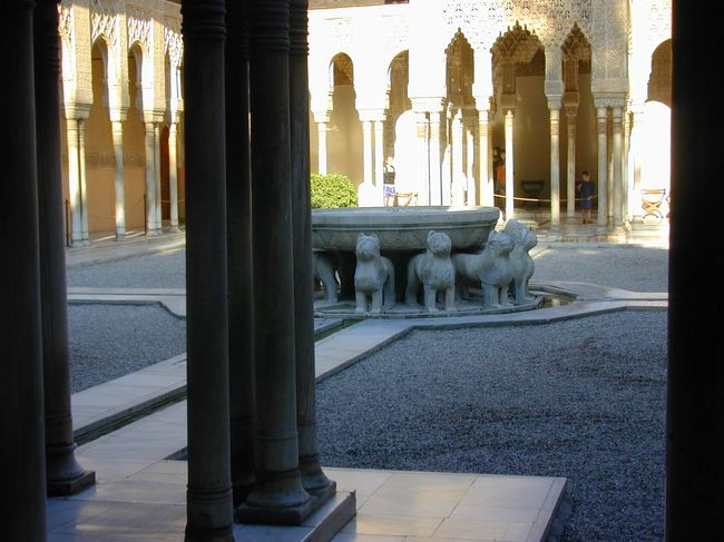 早朝のライオンの庭です。