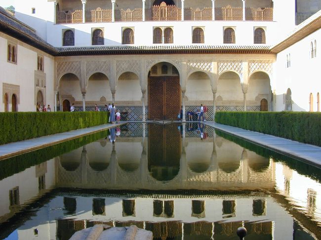 夏の早朝で、朝日を浴びてとてもきれいでした。