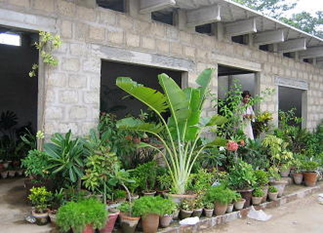 広いコンパウンドの中に沢山のお店がありました。<br />乞食やクーリーがいないのでゆったりできる。<br /><br />唐辛子婆の大好きな植木屋さんもありました。